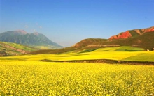 �c(di��n)���鿴Ԕ��